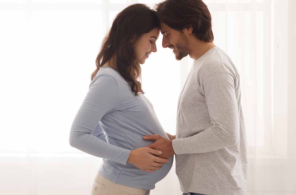 Fertility support
